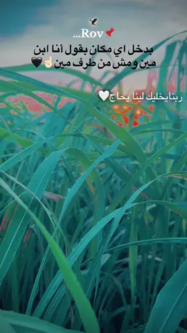 ابويا#مصر # الصعيد #‏ ‏المنيا #☝🏻🦅