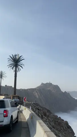 #taif #الهدا #explore #viral #foryoupage 