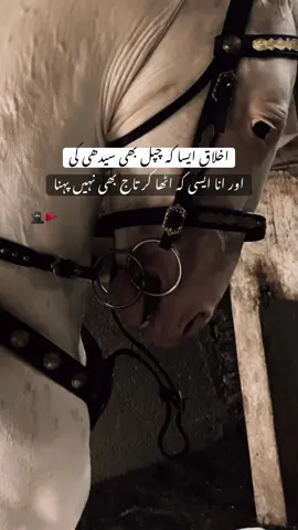 #fyp 