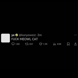 Ok? #meowl #ok #ya 