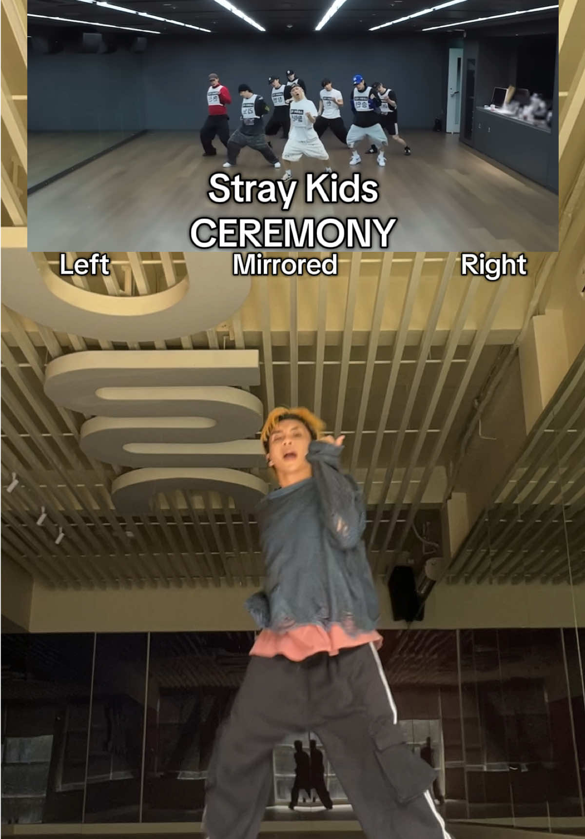 Who’s ur bias in @Stray Kids ?? #straykids  #ceremony #karma #MalvinCover #MalvinTutor 