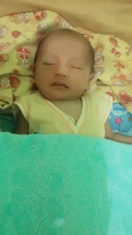 #godfather 