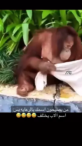 #itg760 