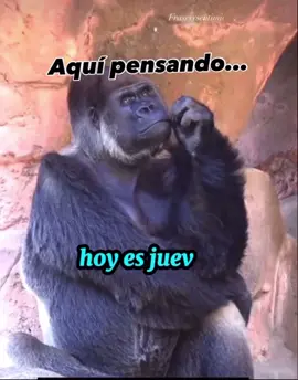 #humor #jajaja #4angelitos #meme#quincena 