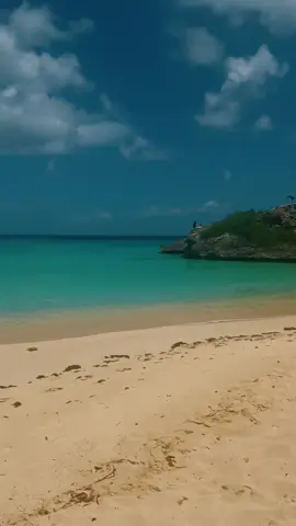 C’est juste magnifique ❤️#beachvibes #ocean #summerlooks #fyp #foryoupage❤️❤️ 