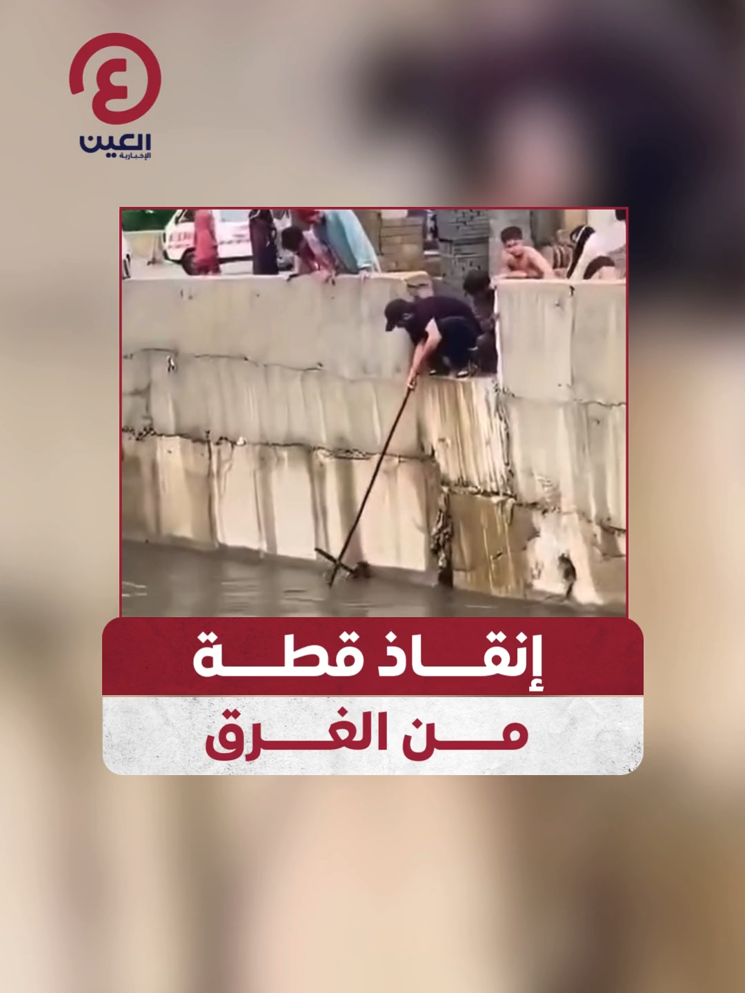 لحظة إنسانية.. شخص ينقذ قطة كانت على وشك الغرق في مجرى مائي  #عينك_على_العالم