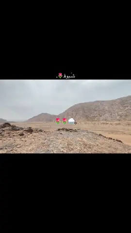 ما عاد لغيابك ضمى٫أبشرك جانا مطر🤳. #اكسبلورexplore 