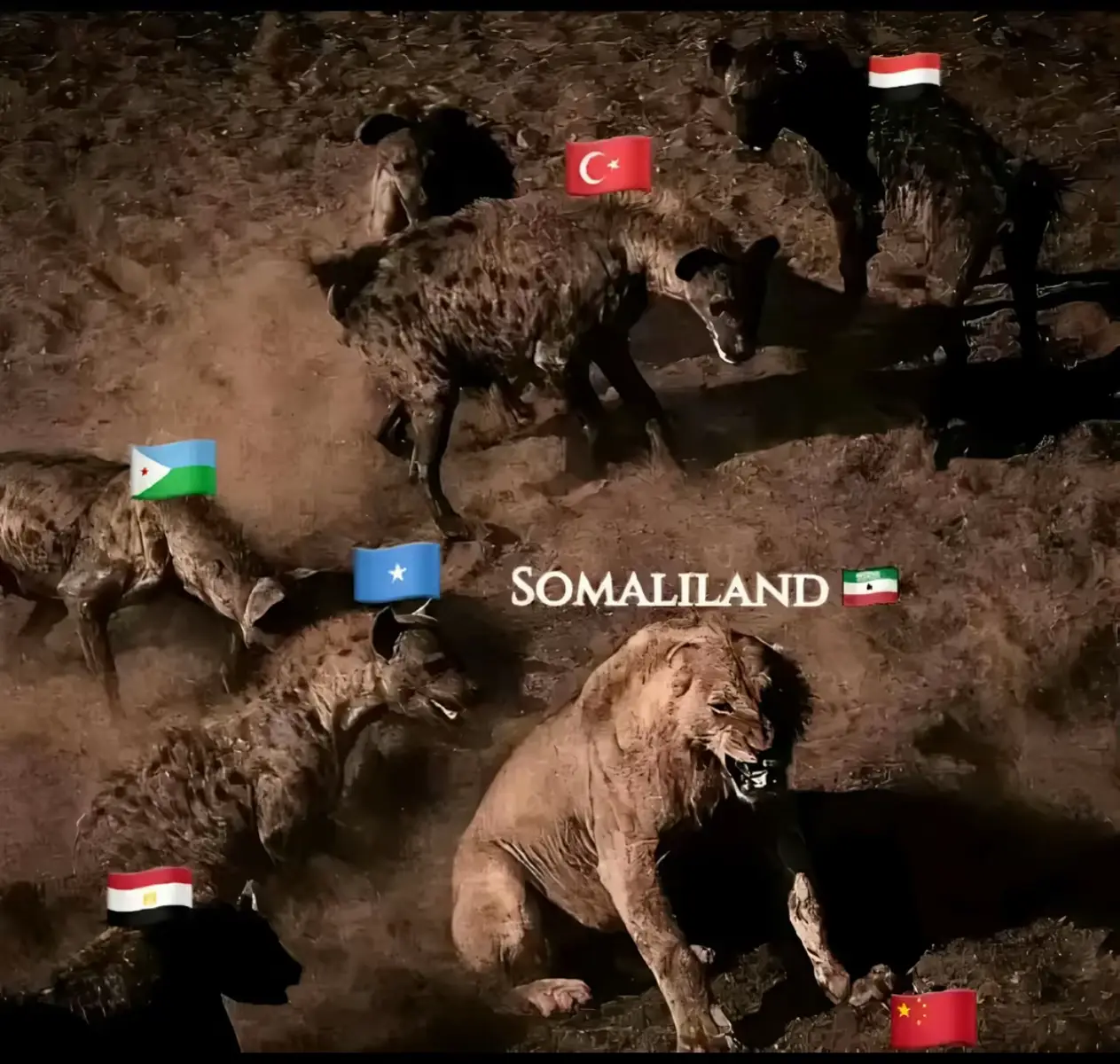 #Somaliland is getting recognition, those who are not happy with it are the ones who are being persecuted.#usa🇺🇸 