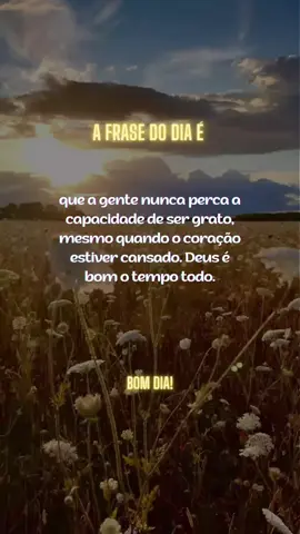 #reflexão #motivacional #frases 