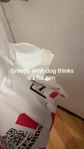 Greedy ahh dog 