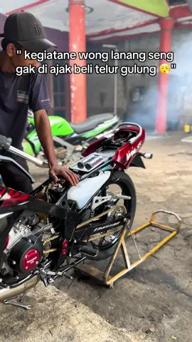 luweh milih dadar se 😶 #ninja #fyp #ninjass #ninja150 #jualbelininja2tak 