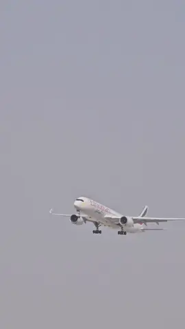 ET-AVE final approach at DXB 🇦🇪#fyp #viral #ethiopian_tik_tok🇪🇹🇪🇹🇪🇹🇪🇹 #habeshatiktok #foryoupage 