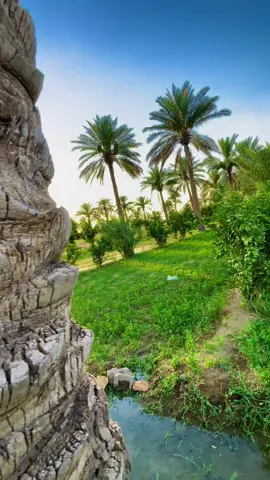 حجيك مطر صيف 🥲 #المصور_غزوان_النمراوي #ستوريات #تصويري #تصويري_احترافي_الاجواء👌🏻🕊😴 #fyp 