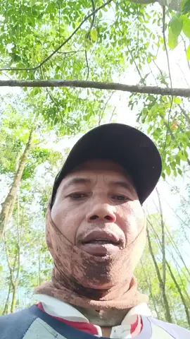 #aqgreenofficial #petaniindonesia🇮🇩🇮🇩🇮🇩🌿🌿 #petanikaretindonesia 