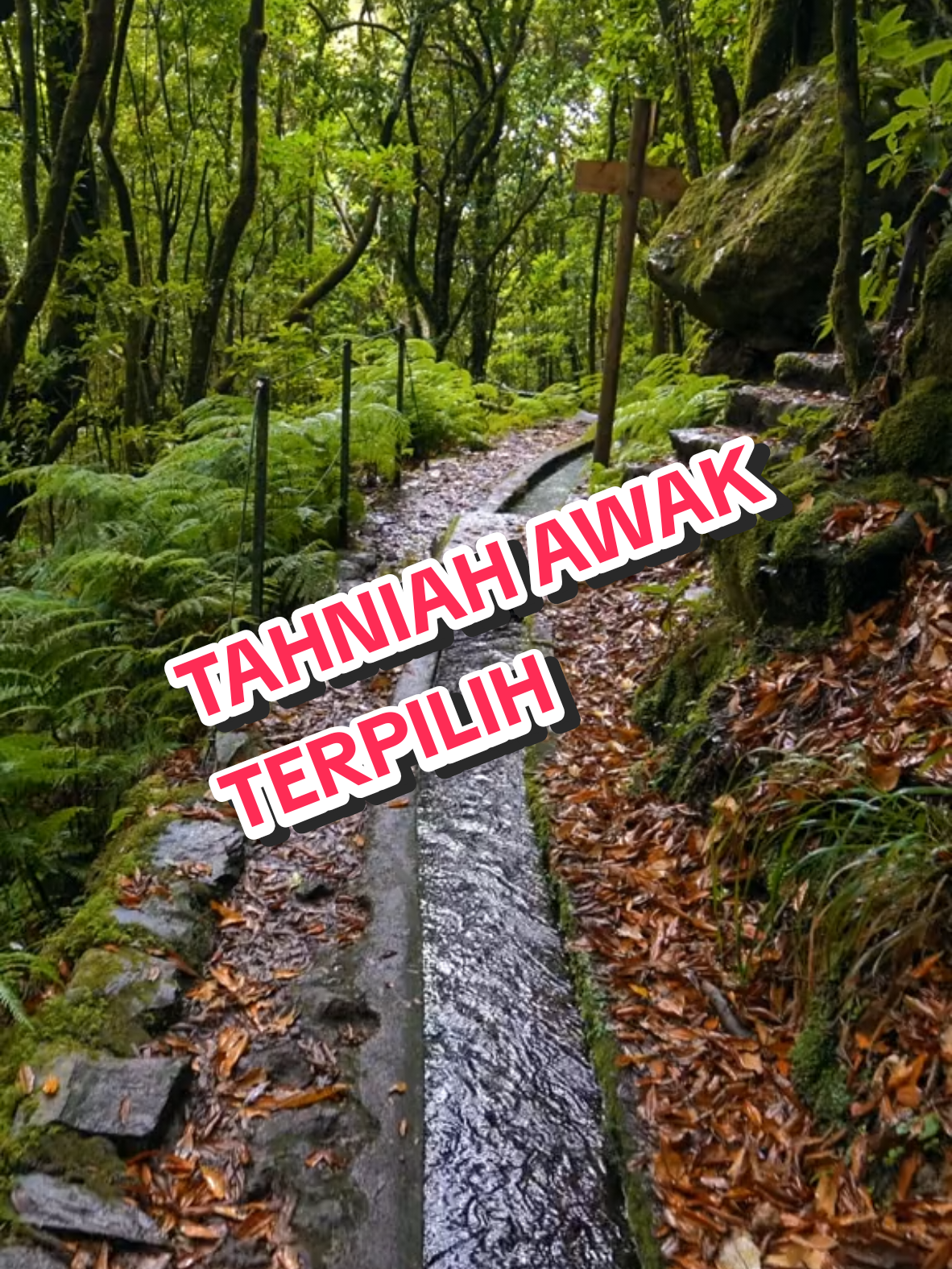 #creatorsearchinsights TAHNIAH #sahabatwanhariz  #growmyaccount #LearnOnTikTok #5r  @EQIEN SHAH CACTUS 2🌵🌵🚀💥 @ACHIK ITA🌵 @NUR HASANAH🌵 @FAIZAL MJ 🌵 @WALID OFFICIAL 🌵 @MIA RICH 2🌋🌵 @AZLIYATON🌵 @FAZSHA  🌵 @EMILY'S🌵 
