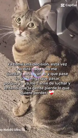 # si pierden es por q quieren  #siempre hacia delante #ustedes pierden y yo gano