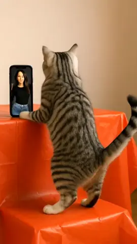 Pingin Goyang Tapi bingung Ngak Tau Mulai Dari Mana...