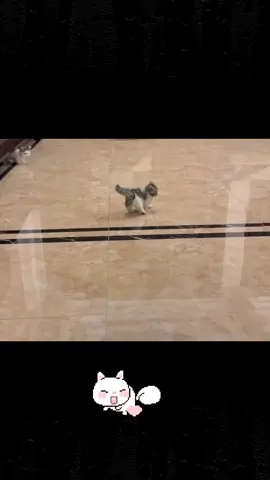 Perform a dance