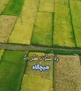Allahu akber ❤️ ☝️ 🇦🇫 🇦🇪 🇨🇭 🇨🇵 123@#... 123@#1# 