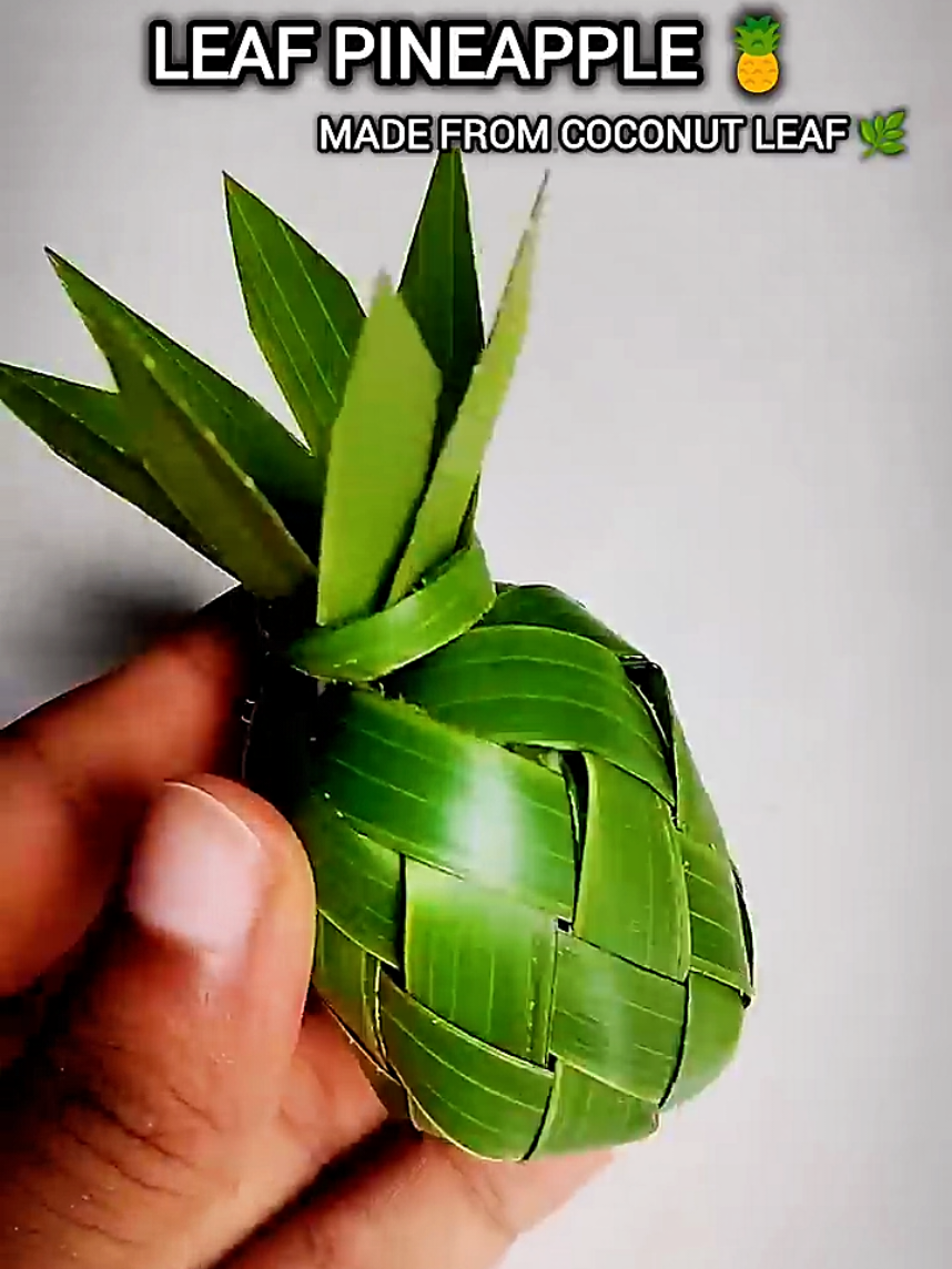 Replying to @seitoffruss  🍍 Made a beautiful pineapple using just coconut leaf! 🌿 A fun and eco-friendly craft idea that turns nature into art. Watch the full process in just 15 seconds — perfect for DIY lovers and nature crafters! Don’t forget to like, share, and comment if you’d try this too 💚 #CoconutLeafCrafts  #Sustainable Fashion #EcoFriendlyDesign  #NaturalMaterials  #DIYFashion  Tirunelveli, Kavin case, Tirunelveli news, Kavin incident, justice for Kavin, Tirunelveli crime, Tirunelveli youth, Kavin case update, Kavin issue, Tirunelveli Kavin, Nellai, Nellai Kavin, Nellai Kavin case, Kavin, Surjith@online_fm_radioindiansinkuwait, indiansincanada, indiansinlondon, indiansinusa, indiansinaustralia, indiansindubai, indiansinuk, tamilansinkuwait, tamilansinkuwailt, tamilansindubai, tamilansingapore, tamilansinger, tamilansinuae, tamilansingapore👬👬👬, tamilansiva, tamilansivaprakash, tamilanda, tamilan_da, tamilandaa, tamilan🤓, tamilandaa🔥🔥🔥, tamilanfood, tamilansong, tamilanmotorclub, tamilanfreefiregaming, tamilan, வெளிநாட்டு_வாழ்க்கை, வெளிநாட்டுவாழ்க்கை, வெளிநாட்டுவாழ்நண்பன், வெளிநாட்டு_வாழ்க்கை😢, வெளிநாட்டு_வாழ்க்கை__, வெளிநாட்டுக்காரன்விடியோமுகம்மது, வெளிநாட்டு_ஊழியர், வெளிநாட்டுவாழ்க்கை🥲🥲🥲, வெளிநாட்டுக்கு_வேளைக்கு, வெளிநாட்டு வாழ்க்கை, foreign, foreigner, foreignerinkorea, foreigners, foreignbody, foreigngerms, foreignersinkorea, foreignlanguage, foreignexchangestudent, foreignersinchina, foreign, migrantes, migration, trend, trending, trendingvideo, trendingsong, trendy, trends, trendingtiktok, trendiing, trendingnewsmalaysia, trendtiktok, trendingvoice, trendingvoiceintiktok, trendingvoice❤️, trendingvoice❤️, trendingvoiceover, trendingvoideo, trendingvoiceoversound, trendingvoice❤️🔥🔥, trendingvoice🌹, trendingaud, trendingaudio, trendingaudios, trendingaudio2023, trendingaudio2022, trendingaudioreels, trendingaudiotoday, trendingaudios2022, trendingaudiostiktok, trendingreels, trendingreelsvideo, trendingreelss, trendingreels_, trendingreelstamil, trendingreels2023, trendingreelsvideo❤️😍👩‍❤️‍👨, trendingreelsb, trendingreels❤️, 1million, 1millionaudition, 1millionviews, 1millionauditions, 1millionfollowers, 1millionauditionit, 1millionview, 1millionauditio, trendingvideo, trendingsong, trendingtiktok, trendingnow, trendingsound, trendingreels, trendingviralvideo, trendingsongs, whatsappstatus, whatsappstatusvideo, whatsappstatustamil, fyp, fypシ, fypシ゚viral, fypage, fyp, fypシ, fypシ゚viral, fypage, fyppppppppppppppppppppppp, fypdongggggggg, fypp, fypシ゚, fypdong, fyppp, foryourpagetiktok, foryourpageofficiall, foryourpagechallenge, foryourpage❤❤, foryourpageofficial, foryourpageviral, foryourpage, foryourpages, foryourpagetiktok, foryourpageofficiall, foryourpage, spermdonation, sperm, seman, mastrbation, intercrural, thighfun, thighfupa, thighssavelives, thighx, thighs, thighjob, interfemoral, topgay, gay, vanavil, vanavilboys, vanavilguys, vanavilarun, rainbowboy🌈, rainbowboysmodels2023, rainbowboyy, pottai,