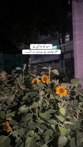 سب کچھ عارضی ہے منظر،خیالات، دنیا، جذبات، اور لوگ۔۔#viralmyvideo #unfreezmyaccount #viralvideo 