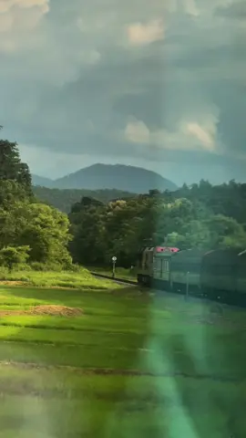 หน้าฝนกับการนั่งรถไฟสายเชียงใหม่-กรุงเทพ🚂🌧️🤎 #รถไฟสายเหนือ #เชียงใหม่ #รถไฟ #ฤดูฝน 