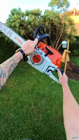 Abattage et évacuation d’un pin 🌲 À votre avis pourquoi il est tombé ? 🧐 Materiels: - STIHL MS 261 C-M - STIHL MS 194 T - STIHL BR700 - Caméra Insta360 go 3s + IPhone 13 Pro Max #paysagiste #satisfyingvideos #stihlchainsaw #pourtoii #satisfying