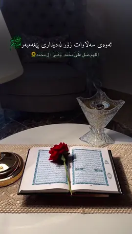 #استغفرالله #سبحان_الله #الحمدالله #اللهم_صل_وسلم_على_نبينا_محمد 🤍🕊️