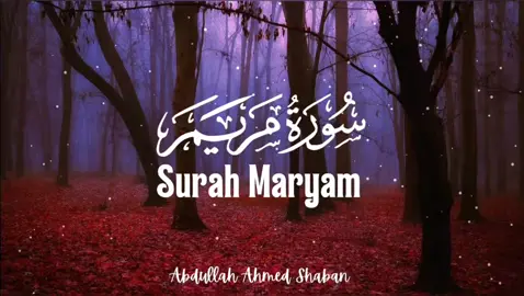 Surat Maryam سورة مريم (Complete) ❤️ Fill your heart with peace and tranquility 😴 Listen to the end 🎧 #abdullahahmed  #quran #surahmaryam #سورة_مريم #awaiswahand @🤍🥀 قرآن 🥀🤍 @اویس 