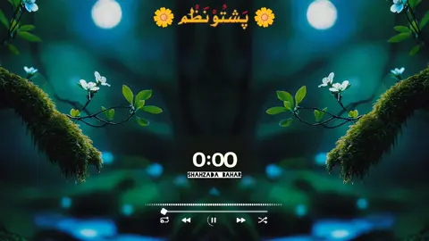 دا منمه چی دیر خکولی دی الله شهدات#fyp #videoviral #tik_tok #fyp #videoviral 
