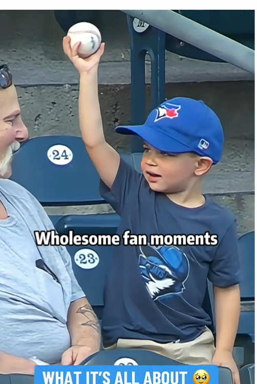 Wholesome fan moments❤️ #sport #MLB #fyp #kindness #respect #wholesome #bekind #baseball #heartwarming