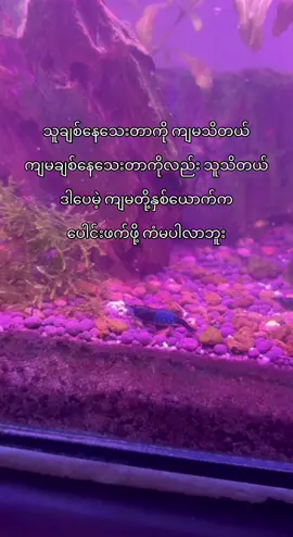 ကံပါမလာတော့ ဝေးကြရုံပေါ့😮‍💨 #viral #fyppppppppppppppppppppppp #fyp #viewsproblem 