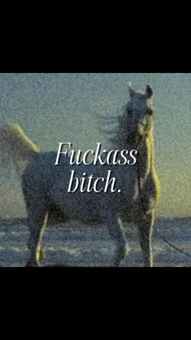 🐎 #horses #hatecore #relatable #core #fyp 