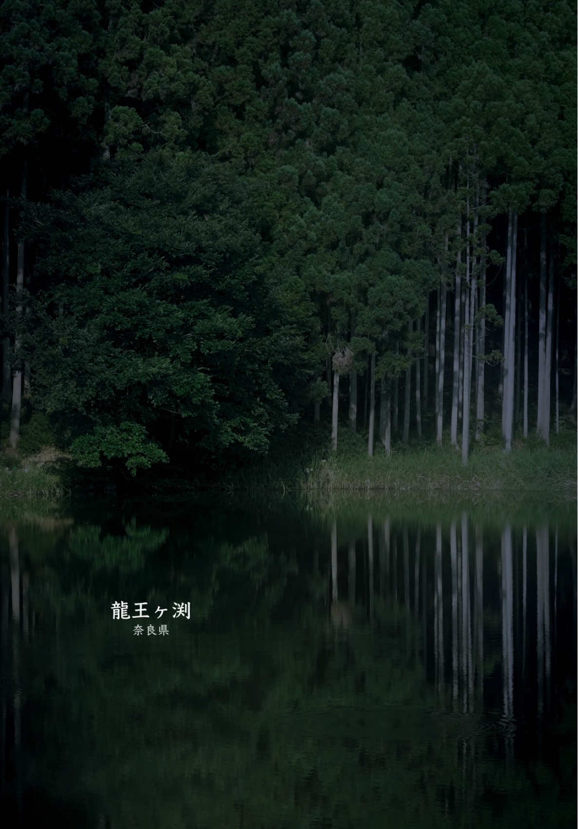 奈良の景色/龍王ヶ渕