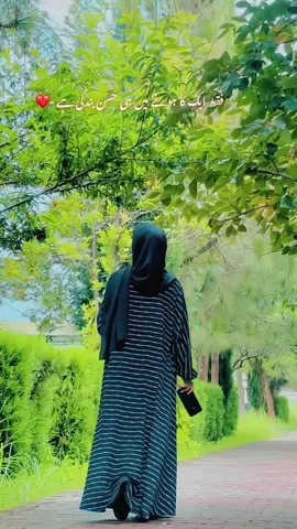 🥀❤️#foryou#foryoupage#trending#viral#illu#grow#unfreezemyaccount#views#fyp#fy
