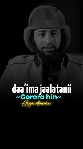 Daa’ima jaalatanii gorora hin jibbanii jetti oromoon#oromo #oromotiktok #fyp #duet #like 
