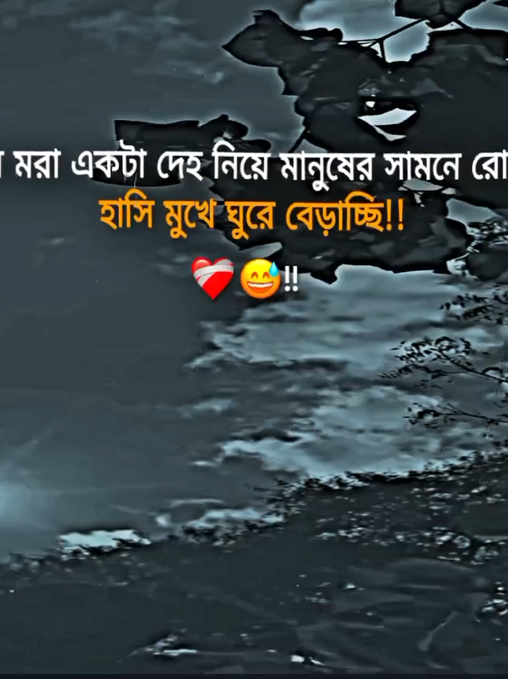 #flypシ #everyone #vairal_video #foryoupage মন মরা দেহ নিয়ে মানুষের সামনে রোজ হাসি মুখে ঘুরে বেড়াচ্ছি!!❤️‍🩹😭