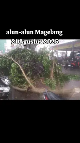 Lindungilah suamiku yg sedang mencari nafkah ya Alloh... #alun-alunmagelang #magelang  #magelang24jam  #magelangkotasejutabunga  #magelang24jamfyp 
