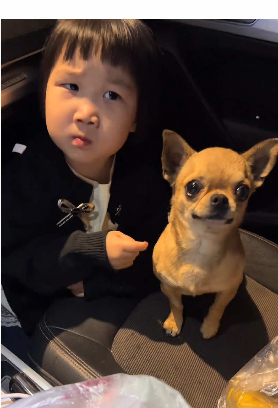The sweet friendship 🥰🥰#dog #baby #pet #Love #friends #lovestory #cute #funny #cutebaby #dogsoftiktok #foryou #usa🇺🇸 