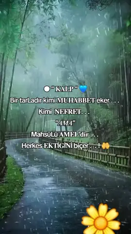 #kesfet #tıktok #fyp 