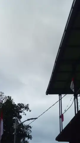 🥀🥀🥀🥀🥹🥹🥹🥹
