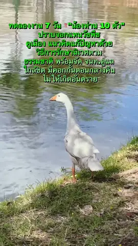 ทดลองงาน 7 วัน ‼  