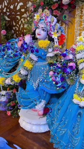Krishna is the ocean of mercy and love 🦚. Chant Hare Krishna mahamantra ❤️🪷#fyp #harekrishna #iskconnepalbudhanilkantha #iskcontemple 
