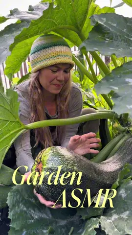 Sounds from our garden harvest🌱☀️☺️ • • #allotment #gardening #kitchengarden #GardenASMR #HarvestSounds     