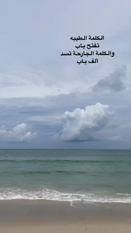 #مساء_الخير🌹 #اكسبلورexplore 