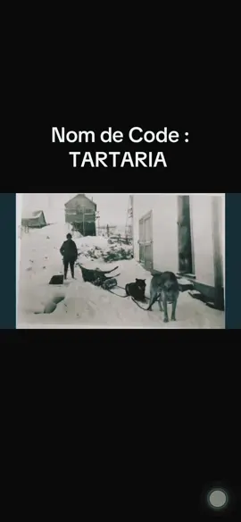 La Charette et le Burin : Tartaria Francophone 