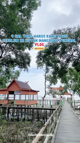 Nyari suasana adem sambil nikmatin indahnya hutan mangrove? 🌿✨ Yuk main ke Mangrove Tungkal! Spotnya kece buat healing, foto-foto, sampai jalan santai bareng teman atau keluarga. 📸🌊 Cocok banget buat short escape dari rutinitas! 💚” #MangroveTungkal #WisataAlam #ExploreJambi #HiddenGemJambi #HealingTime     