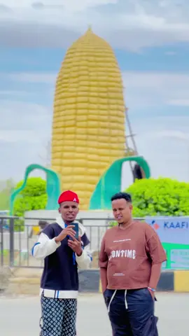 #jigjiga_somali_galbeed #qabridahar💚💙❤️🇬🇲🇬🇲🇸🇴🦁❤️ #godeygacalo #somalitiktok @M   I   K   I  🐓 @MADAXWEYNAHA DDS❤️👋 @Fite_boss🇸🇴🐐 @ROLEX 🔥✌️ 