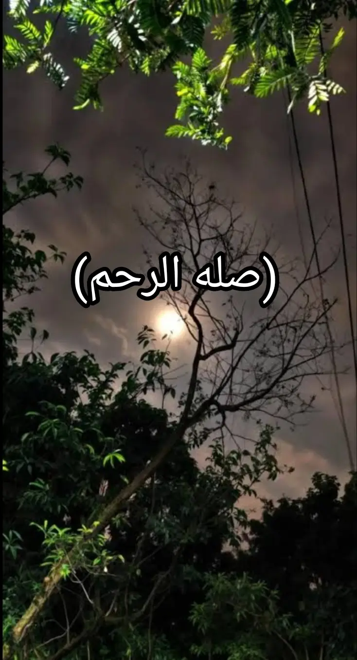 #صله-الرحم