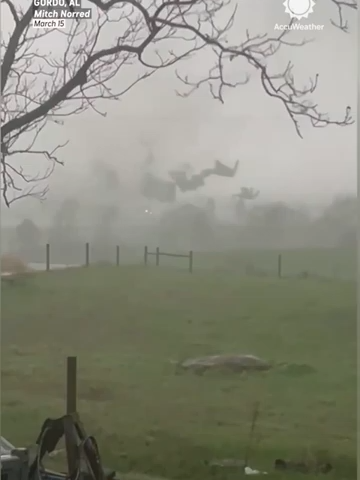 Tornado Destroys Alabama Farm